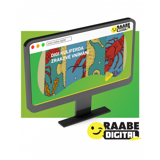 DIGI KULIFERDA ZRAKOVÉ VNÍMÁNÍ