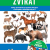 Hlasy našich zvířat: 5 aktivit s dětmi Hlasy našich zvířat: 5 aktivit s dětmi