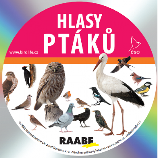 Hlasy ptáků