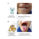 PDF publikace – Oromotorické kartičky