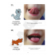 PDF publikace – Oromotorické kartičky
