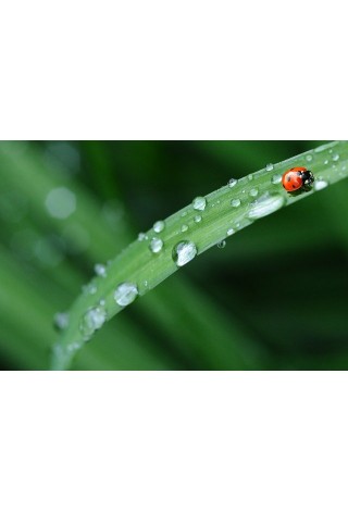 Tematický blok Voda kolem nás - 2. část Tematický blok Voda kolem nás - 2. část