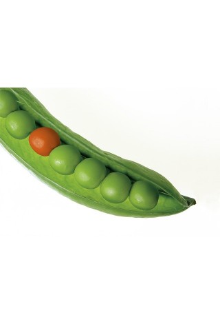 Školní třída se žákem s SVP - příprava třídního kolektivu