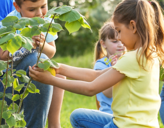 Připravujeme se na JARO v mateřské škole: Zábava a rozvoj s našimi metodikami!