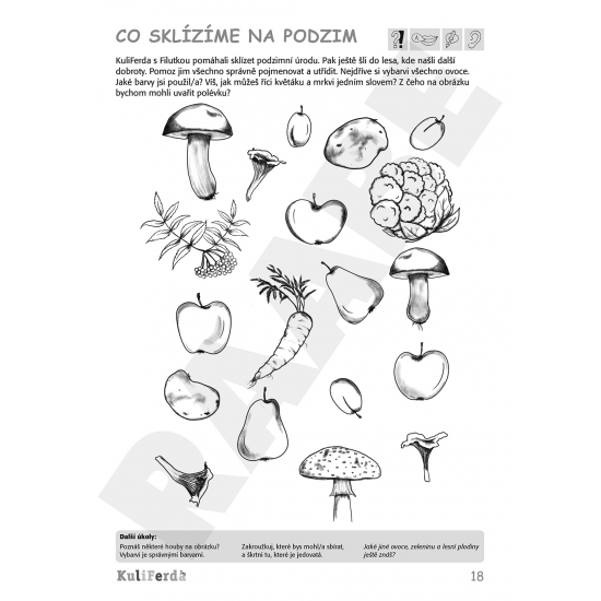 KuliFerda-(5-7-let)-sada-pracovnich-sesitu-2025-2026