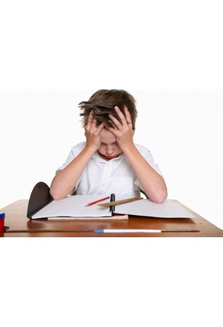 Integrace… nebo tedy vlastně inkluze. In… CO?