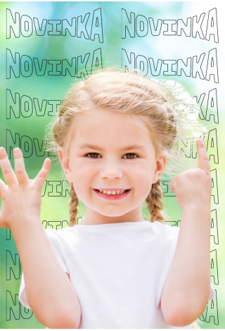 Předškolní matematika v novém světle: Průvodce pro pedagogy, rodiče a odborníky Předškolní matematika v novém světle: Průvodce pro pedagogy, rodiče a odborníky