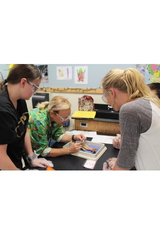 Motivace pro práci ve školství, aneb Je to vše jen o penězích? Motivace pro práci ve školství, aneb Je to vše jen o penězích?