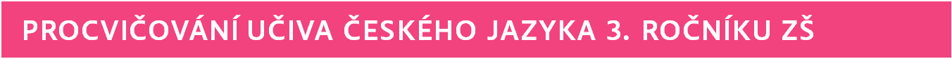 Procvičování učiva českého jazyka